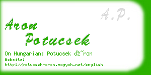 aron potucsek business card